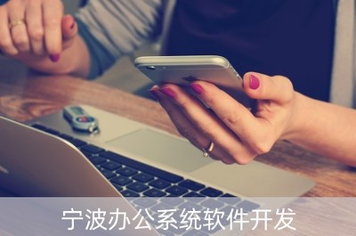 寧波辦公系統(tǒng)軟件開(kāi)發(fā)及其市場(chǎng)前景